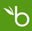 BambooHR logo